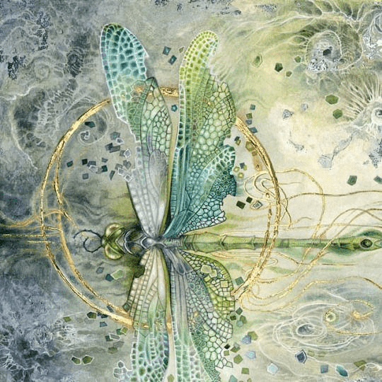 Dragonfly as Messenger, Totem, Spirit Animal, Their Meaning
