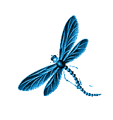 animated blue dragonfly